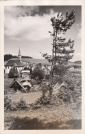 Carte Photo - Wunsiedel , 1950 - Wunsiedel