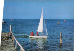 (259) Australia - VIC - Yachting On Port Philip Bay - Melbourne