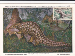 Carte-Maximum Afrique Occidentale Fse (AOF) N° Yvert  52 (PANGOLIN) Obl Sp 1962 - Briefe U. Dokumente