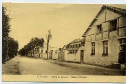 14 - LIVAROT - Route De Lisieux Et Grande Cidrerie Usine - Livarot