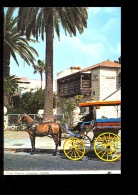 Islas Canarias : LAS PALMAS DE GRAN CANARIA : Casa Del Turismo Calèche Attelage Cheval Horse - La Palma