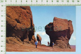 Hopewell Cape New Brunswick( The Rock ) Post Card Carte Postale 2 Scans - Autres & Non Classés