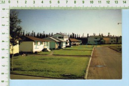Thompson Manitoba ( Many Fine Home On Riverside Drive ) Post Card Carte Postale 2 Scans - Altri & Non Classificati