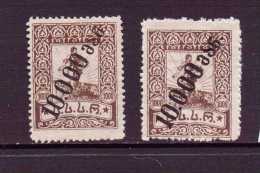 GEORGIE 1922/23 2 TYPES DE SURCHARGE  YVERT N°41  NEUF MH* - Georgien