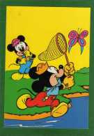 MICKEY A La Chasse Aux  Papillons  Walt Disney Productions Illustré. Gros Plan De MICKEY - Disneyworld