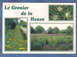 Carte Postale 76. Bellencombre  Le Grenier De La Heuze  L.L Varin Producteur De Fleurs Séchées Trés Beau Plan - Bellencombre