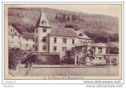 D22 B 59 - BELGIQUE - SUISSE - Près GENEVE - CARTIGNY - Le Château De LA RECONCILIATION (animé) - Cartigny