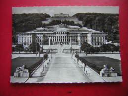 CPSM PHOTO  AUTRICHE  WIEN VIENNA  VIENNE  CHATEAU DE SCHOENBRUNN  NON VOYAGEE CARTE EN BON ETAT - Château De Schönbrunn