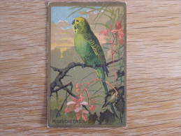 PERRUCHE ONDULEE Oiseau  Chromo Bord Doré Trading Card Chromos - Ohne Zuordnung