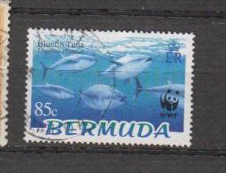 Bermudes YV 884 O 2004 WWF Thon - Used Stamps
