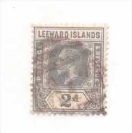 LEEWARD 1912  SCOTT N°49 OBLITERE - Leeward  Islands