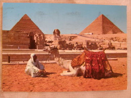 Egypt - Gizeh Pyramids   D109712 - Guiza