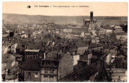 CP, 87, LIMOGES, Vue Panoramique Vers La Cathédrale, Ecrite - Limoges