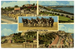 CLACTON ON SEA : JUST A LINE FROM - DONKEYS / SEASIDE / ADDRESS - DUNMOW, BROXTED, CHURCH HALL FARM (SCOTT MILLER) - Clacton On Sea