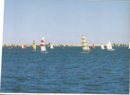 (176) Australia - VIC - Lake Boga Sailing - Andere & Zonder Classificatie