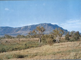 (400) Australia - SA - Quorn - Sonstige & Ohne Zuordnung