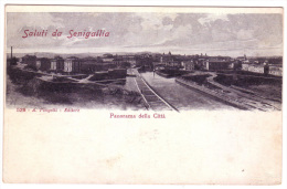 SENIGALLIA ANCONA PANORAMA DELLA CITTA' F/P NON VIAGGIATA - Senigallia