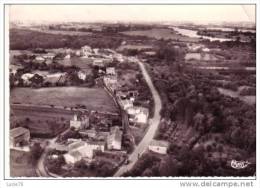 BASSE GOULAINE - Vue Générale - La Loire - Haute-Goulaine