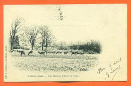 Dpt  52  Chateauvillain  "  Une Matinee D'hiver Au Parc  " Carte Precurseur 1902 - Chateauvillain