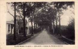 BLANC MESNIL  -  Cité Jardin  -   Avenue Du Maréchal Galliéni - Le Blanc-Mesnil