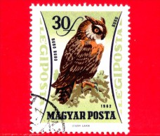 UNGHERIA - Usato - 1962 - Uccelli - Bird - Oiseaux - Aquila - Eurasian Eagle-owl (Bubo Bubo) - 30 - Posta Aerea - Used Stamps