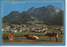 (OS411) ABTENAU - Abtenau