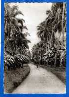 OCEANIE PAYSAGE SAMOAN MISSIONS MARISTES D' OCEANIE CARTE PHOTO SEPIA DENTELEE CLICHE UNIQUE - Samoa