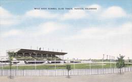 013C/ Denver Mile High Kennel Club (stadium Dog Racing, Stade, Stadion, Course De Lévriers, Hondenrennen - Denver