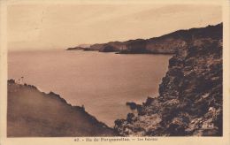 Cp , 83 , ÎLE De PORQUEROLLES , Les Falaises - Porquerolles