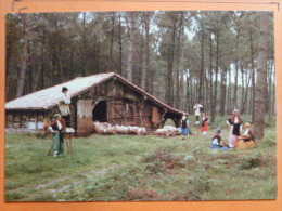 V09-40-landes-morcenx--groupe Folklorique Landais- ""lous Cigalouns De Mourseuns"" - Morcenx