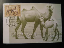 CHINA CHINE 1993 Camel Dromedary Maxi Maximum Card - Lettres & Documents