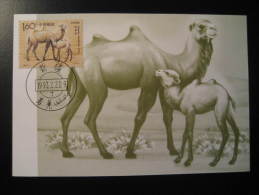 CHINA CHINE 1993 Camel Dromedary Maxi Maximum Card - Covers & Documents