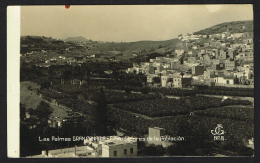 LAS PALMAS Gran Canaria (Spain) - Alrrededores De La Poblacion - Carte Photo RARE - La Palma