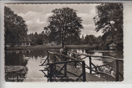 4520 MELLE, Anlagen Am Grönenberg, 1962 - Melle