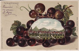 SELESTAT-SCHLETTSTADT (Bas-Rhin)  Vue Lithographie-Fantaisie-Gr Appe Raisin-VIN- VIGNE - Précurseur - VOIR 2 SCANS - - Selestat