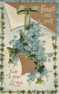 Forget Me Not Card.  Embossed  - Used 1914  -  Sent To Denmark  # 02472 - Sin Clasificación