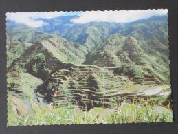 PHILIPPINES  OL RICE TERRACES OF BANAVE   -    (Nº03211) - Philippines