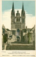 Collection De La Kolarsine Et De La Solution Pautauberge - Angers - Cathédrale Saint-maurice - Sammlungen