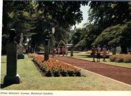 (222) Australia - VIC  - BAllarat Botanical Gardens - Ballarat
