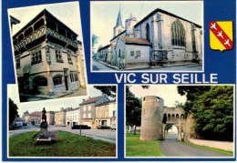 Vic Sur Seille - Multivue - Vic Sur Seille
