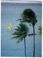 (361) Pacific Ocean - Guam - Windsurfing - Guam