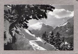 41787     Svizzera,    Kandersteg -   Gellihorn,  VG  1970 - Kandersteg