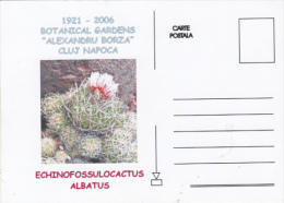 CACTUSSES, SPECIAL POSTCARD, 2006, ROMANIA - Sukkulenten