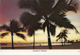 CPA SUNSET IN HAWAII, PALM TREES - Hawaï