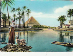 CPA THE PYRAMIDS DURING NILE FLOOD, BOATS, BEDUINS - Piramidi