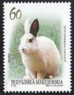 MACEDONIA, 2013, MICHEL 650, RABBIT # - Hasen