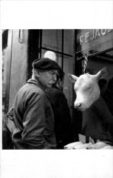 Robert Doisneau-l'innocent -1949- Repro 1994-cpm - Doisneau