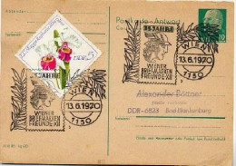 MERKUR BRIEFMARKENFREUNDE WIEN 1970 Auf DDR-Antwort-Postkarte P77 A - Mythologie