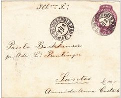 BRESIL - 1904 - ENVELOPPE ENTIER De SAO PAULO Pour SANTOS - Interi Postali