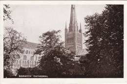 Postcard NORWICH Cathedral 1916 SH Sepia Gloss Norfolk WW1 - Norwich